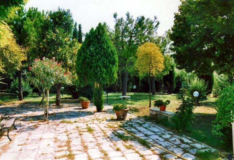 Bed&Breakfast Giardino Agritourist Controguerra Exteriér fotografie